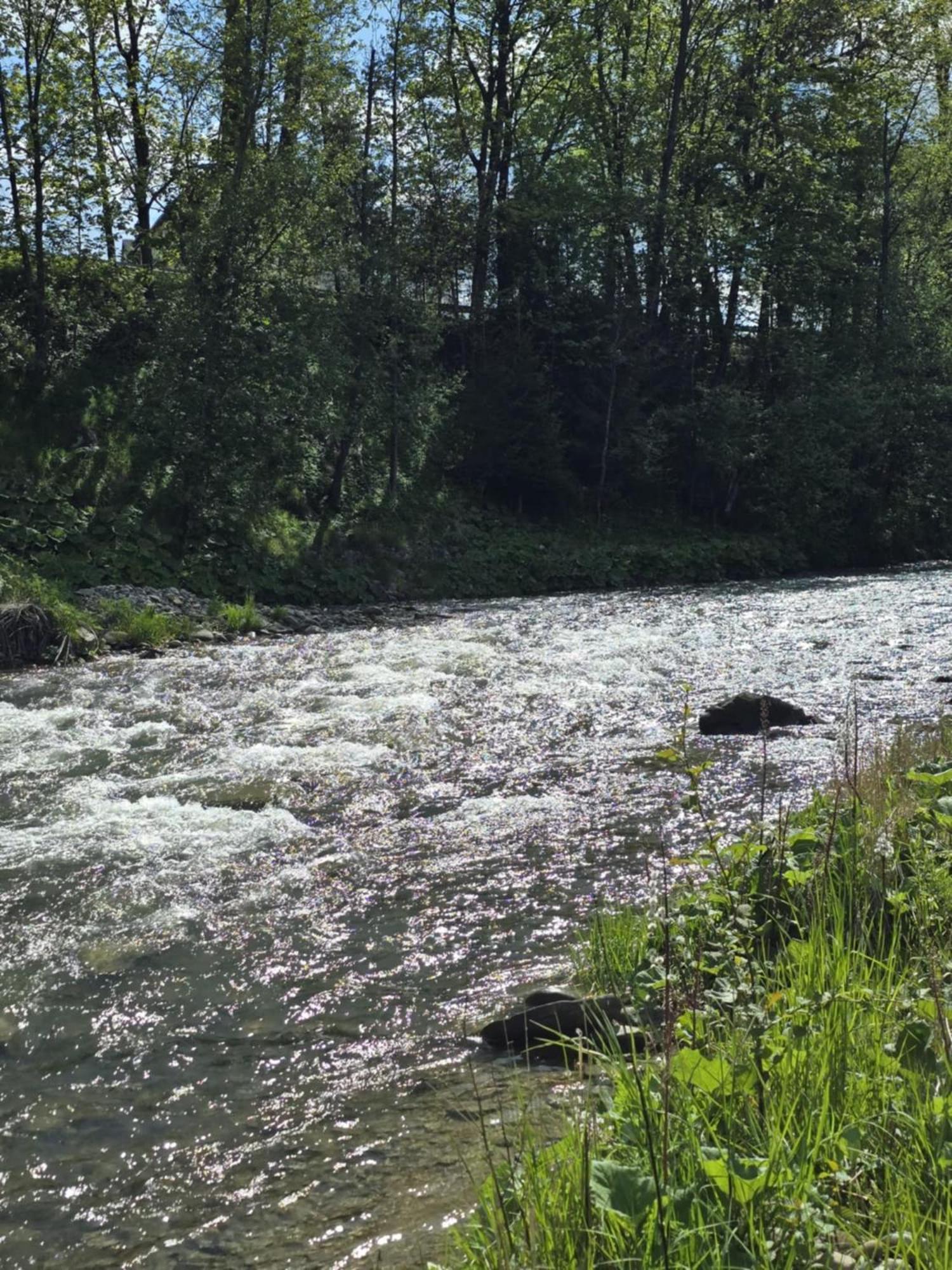 Chocholowska Zohylina Pokoje I Domek Exterior foto